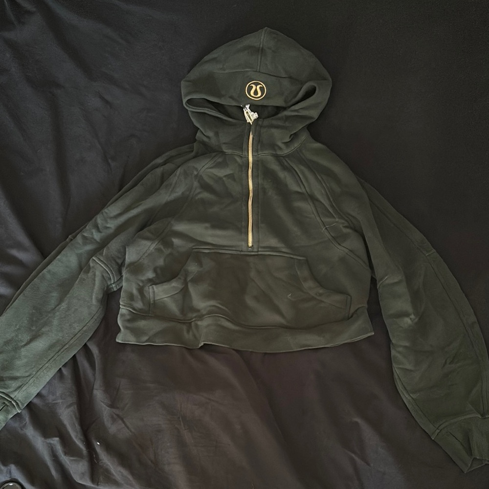 Green Hooded Sweatshirt with Gold Zipper
